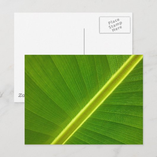 Banana Leaf Briefkaart (Voorkant / Achterkant)