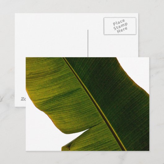 Banana Leaf Briefkaart (Voorkant / Achterkant)