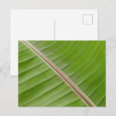 Banana Leaf Briefkaart (Voorkant / Achterkant)