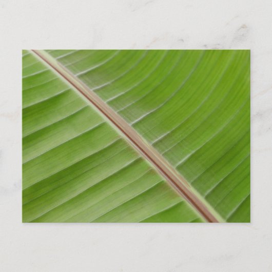 Banana Leaf Briefkaart (Voorkant)