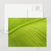 Banana Leaf Briefkaart (Voorkant / Achterkant)