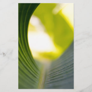 Banana Leaf Briefpapier