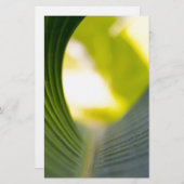 Banana Leaf Briefpapier (Voorkant / Achterkant)