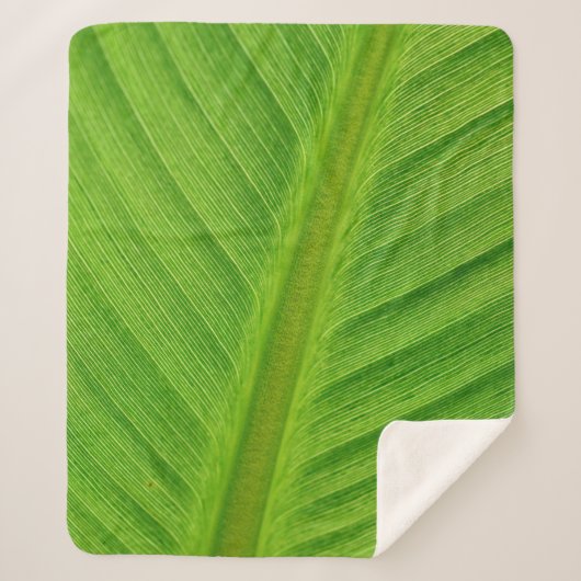 Banana leaf leaf banana fibers sherpa deken (Voorkant)