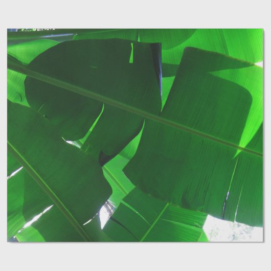 Banana Leaves Cadeaupapier (Vlak)