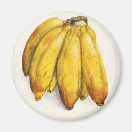Banana Magneet