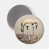 Banana Magneet (Voorkant / Achterkant)