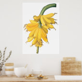 Banana Poster (Keuken)