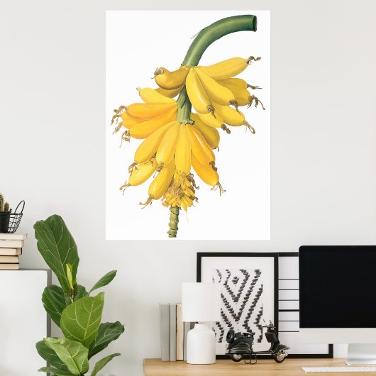 Banana Poster (Thuiskantoor)
