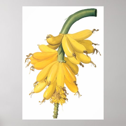 Banana Poster (Voorkant)