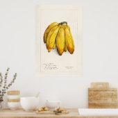 Banana Poster (Keuken)