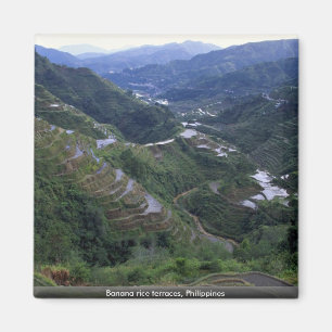 Banana rice terraces, Filipijnen Magneet