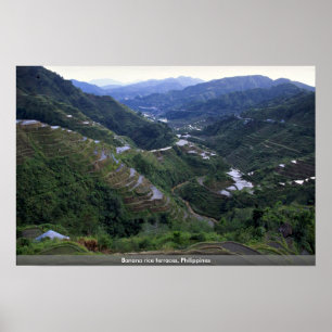 Banana rice terraces, Filipijnen Poster