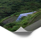Banana rice terraces, Filipijnen Poster (Hoek)