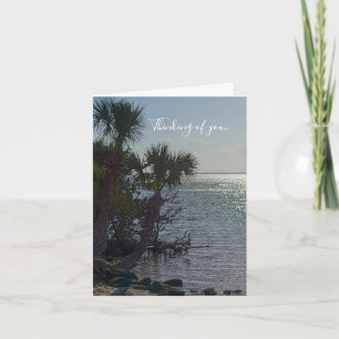 Banana River Palm Trees denken u goed na Kaart