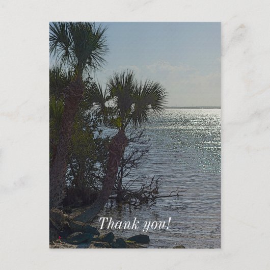 Banana River Palmbomen Schilderachtig Briefkaart (Voorkant)