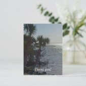 Banana River Palmbomen Schilderachtig Briefkaart (Staand voorkant)