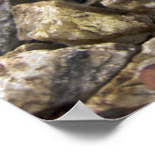 Banana Slug Art Poster (Hoek)