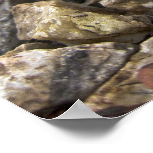 Banana Slug Art Poster (Hoek)