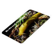 Banana Slug Magneet (Linkerzijde)