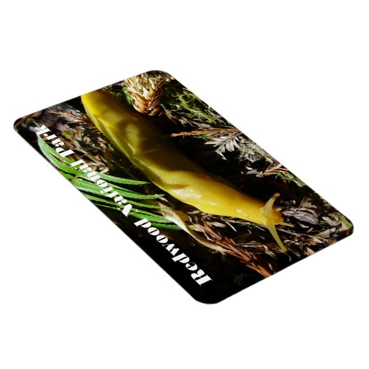 Banana Slug Magneet (Rechterzijde)