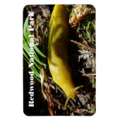 Banana Slug Magneet (Verticaal)
