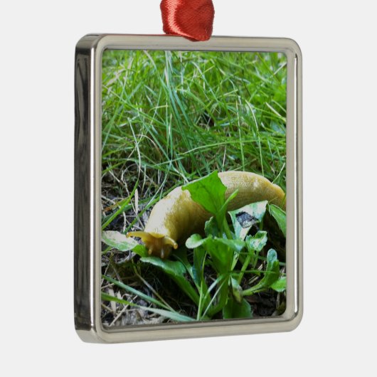 Banana Slug Metalen Ornament (Rechts)