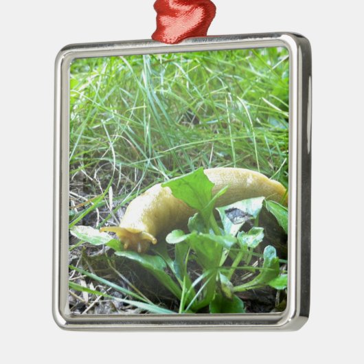 Banana Slug Metalen Ornament (Links)