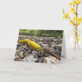Banana Slug Note Kaart (Gele Bloem)