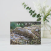 Banana Slug op Mossy Log, Nationaal Park van de Ol Briefkaart (Staand voorkant)