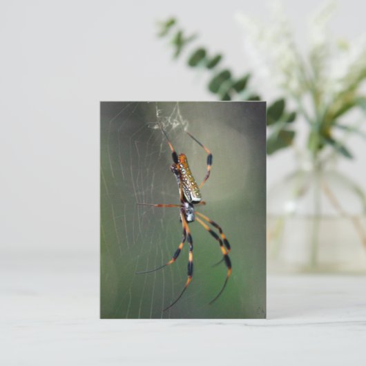 Banana Spider Briefkaart (Staand voorkant)