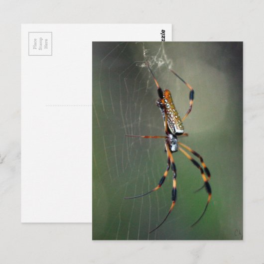 Banana Spider Briefkaart (Voorkant / Achterkant)