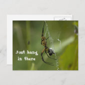 Banana Spider Web gewoon daar hangen Briefkaart (Voorkant / Achterkant)