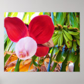 Banana Tree Bliss Poster (Voorkant)