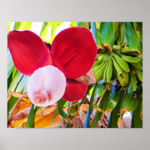 Banana Tree Bliss Poster