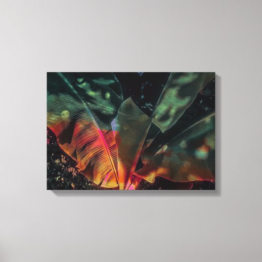 Banana Tree Tropicale Canvas Afdruk (Voorkant)