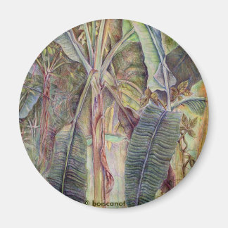 Banana Trees Magneet