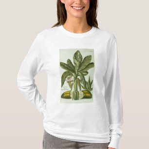 Banana, van J. Weinmann Phytanthoza Iconographi T-shirt