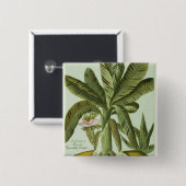 Banana, van J. Weinmann Phytanthoza Iconographi Vierkante Button 5,1 Cm (Voorkant /achterkant)
