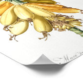 Banana van Les lililiacees (1805) van Pierre-Josep Poster (Hoek)