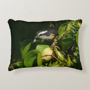 Bananaquit-vogel die tropische fotografie eet accent kussen