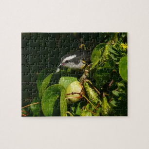 Bananaquit-vogel die tropische fotografie eet legpuzzel