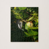 Bananaquit-vogel die tropische fotografie eet legpuzzel (Verticaal)