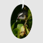 Bananaquit-vogel die tropische fotografie eet ornament (voorkant)