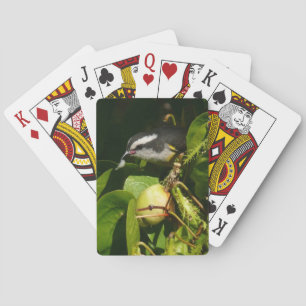 Bananaquit-vogel die tropische fotografie eet pokerkaarten