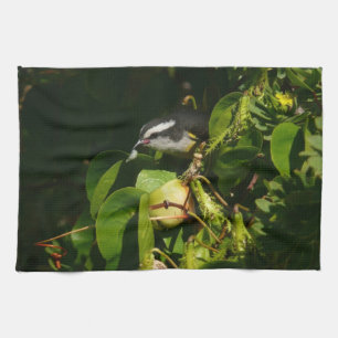 Bananaquit-vogel die tropische fotografie eet theedoek