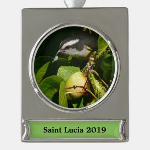 Bananaquit-vogel die tropische fotografie eet verzilverd banner ornament