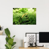 Bananaslak op varens I Poster (Thuiskantoor)