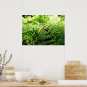 Bananaslak op varens I Poster (Keuken)