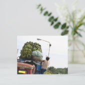 Bananen Briefkaart (Staand voorkant)